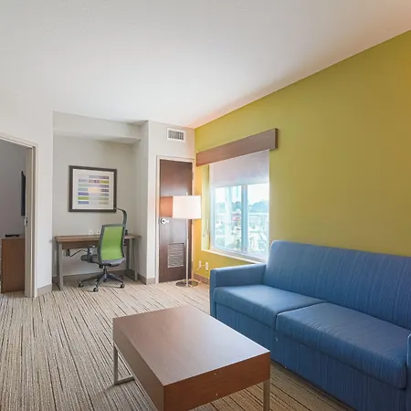 Holiday Inn Express Hotel & Suites Tampa-Usf-Busch Gardens By Ihg-3