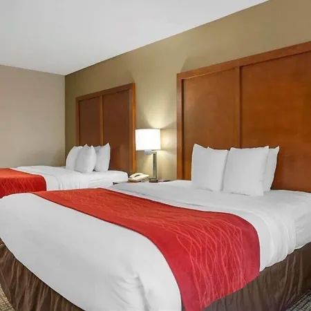 Comfort Inn Marion - West Memphis-3