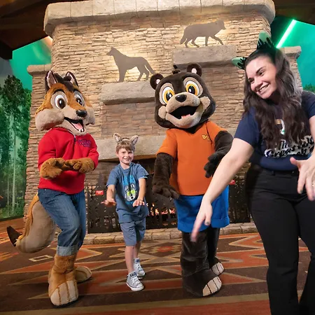 Great Wolf Lodge Chicago/Gurnee-3