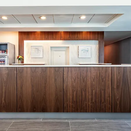 Hilton Garden Inn Tampa Northwest/Oldsmar-2
