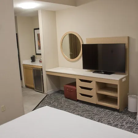 Hampton Inn & Suites Denver-Speer Boulevard-3