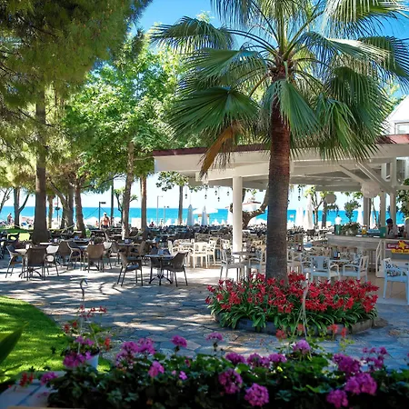 Barut Hemera-3