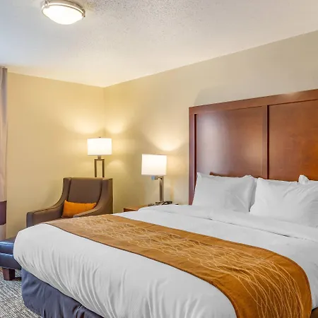 Comfort Inn Dekalb - University Area-3