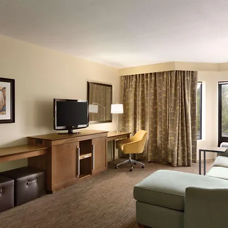 Hampton Inn & Suites Tarpon Springs-3