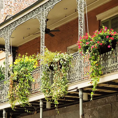 Hotel Indigo New Orleans - French Quarter By Ihg-2