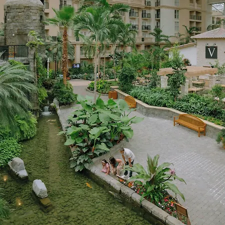 Gaylord Palms Resort & Convention Center-3