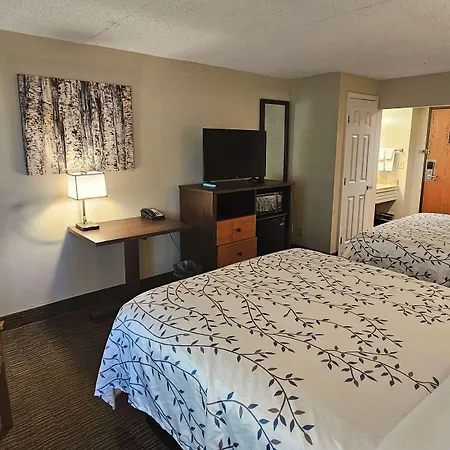 Americinn By Wyndham Birch Run - Frankenmuth-3
