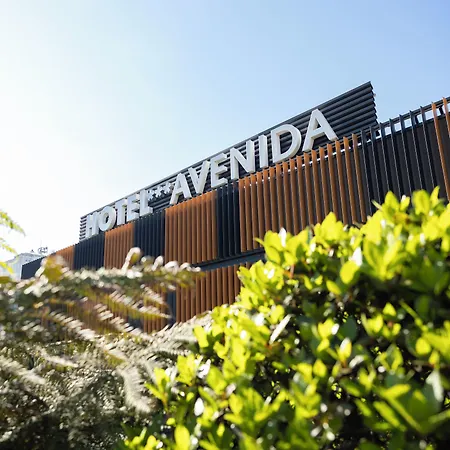 Hotel Avenida-3