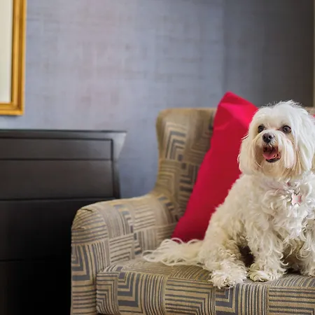 The Brown Palace Hotel And Spa, Autograph Collection-3