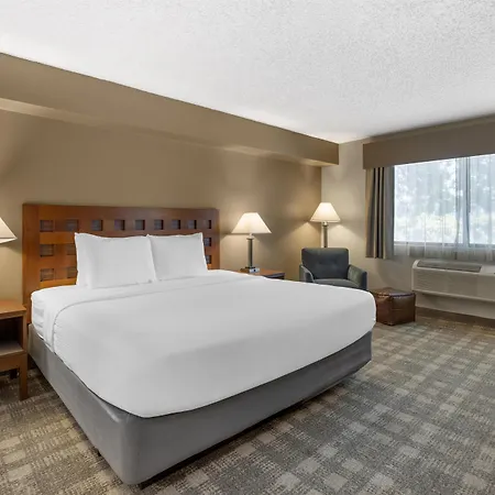 Best Western North I-25 Hotel-3