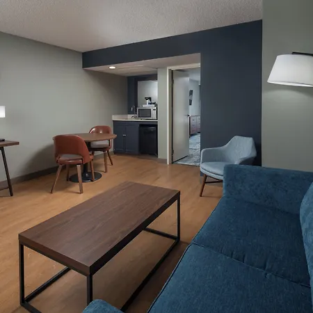 Four Points By Sheraton Suites Tampa Airport Westshore-3