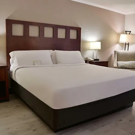Wyndham Garden Summerville-2
