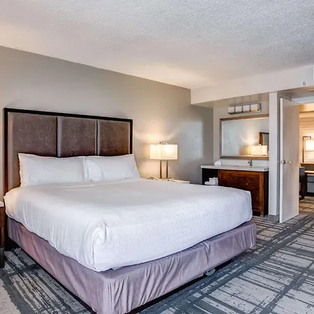 Embassy Suites By Hilton Orlando International Drive Convention Center-3
