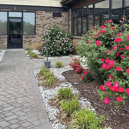 Comfort Inn & Suites Near Lake Guntersville-2