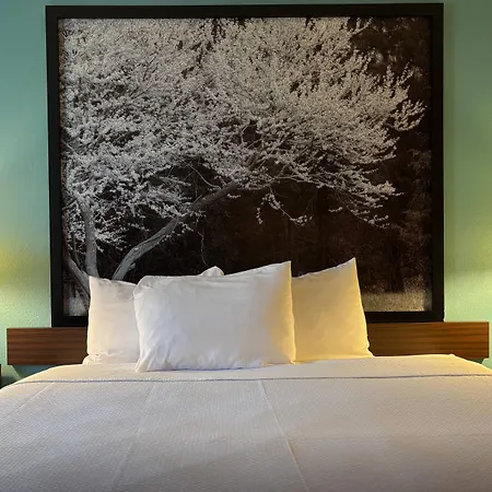 Super 8 By Wyndham Carbondale-3