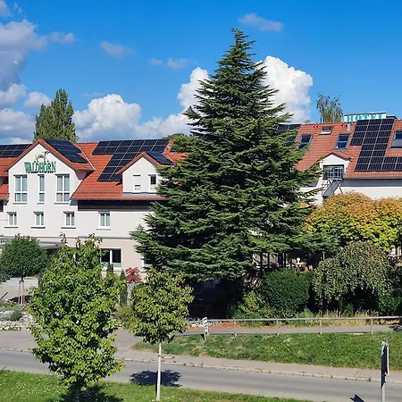 Hotel Waldhorn-2