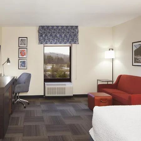 Hampton Inn Charleston-Southridge-2