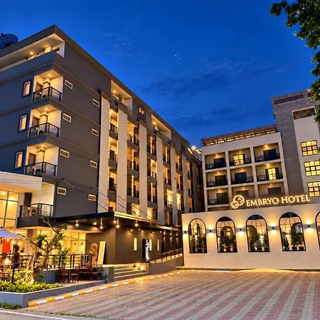Embryo Hotel-3