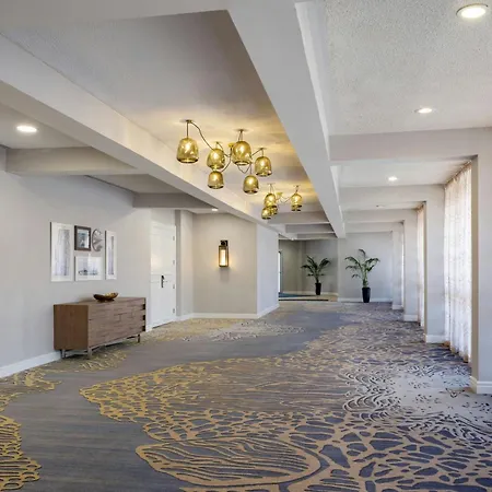 Southbank Hotel Jacksonville Riverwalk-3