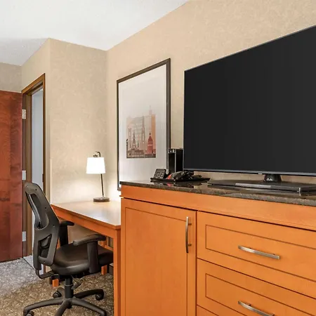Drury Plaza Hotel St Louis Union Station-2