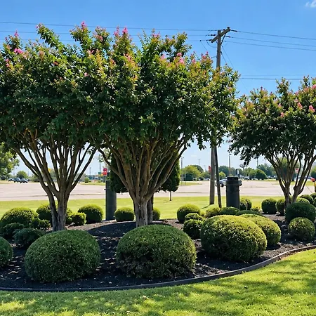 Quality Inn Blytheville-3