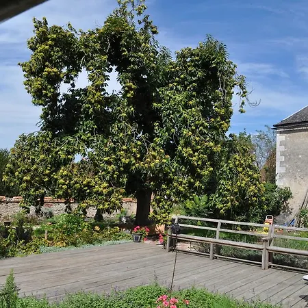 Le Cep en Sancerrois-2