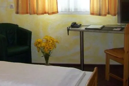 Hotel Goldener Karpfen-3