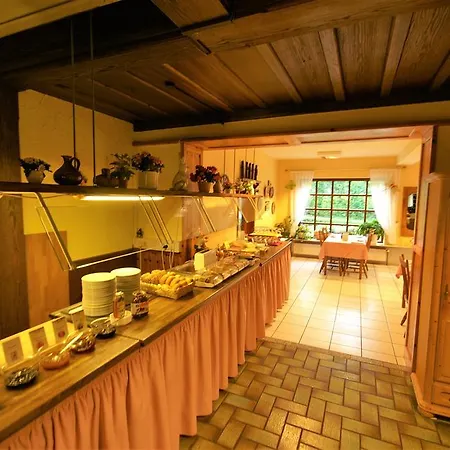 Hotel Weidenau-3