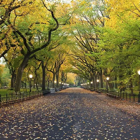Hudson Central Park, A Morgans Hotel-3