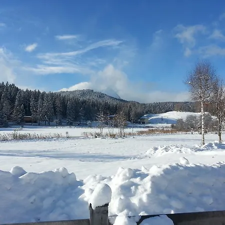 Gasthof Ramona-3