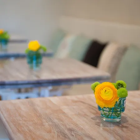 Bachome Terrace B&B-2