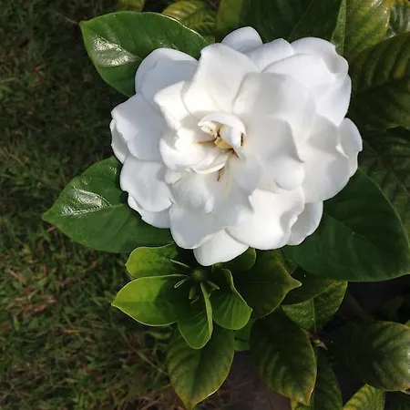 Heavenly Hana Paradise-3