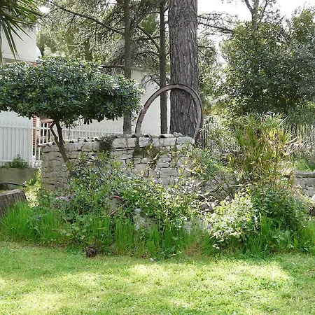 B&B Villa Garden-2