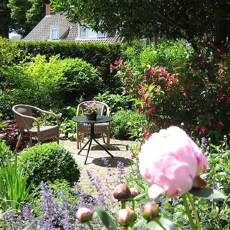 B&B De Esdoorn-2