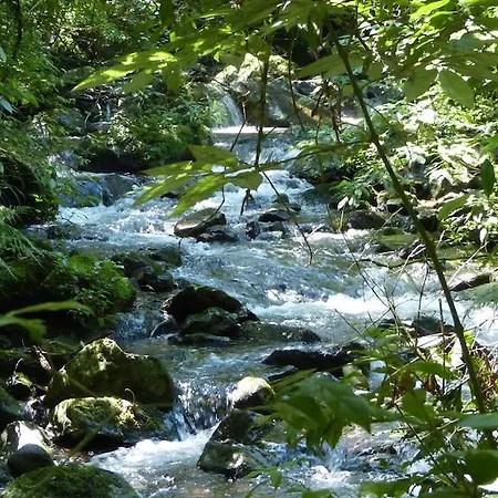 Terra Do Sempre - Reserva Ambiental-3
