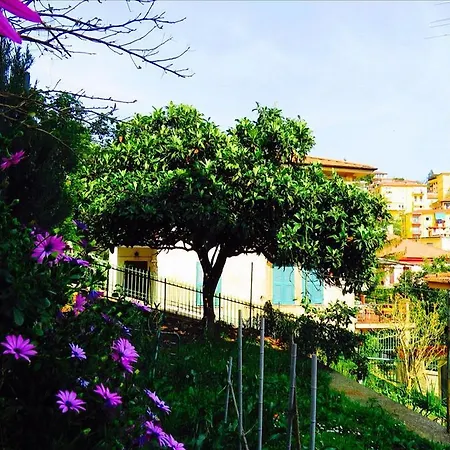 Levante Blu-3
