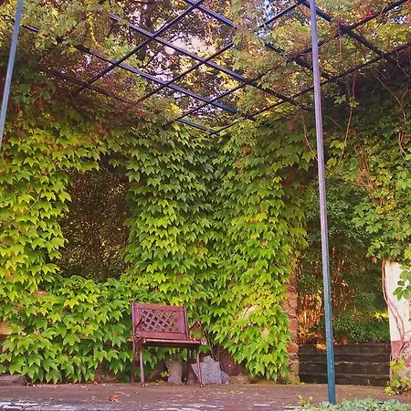 Parkhotel Schwarzenberg - Garni-3