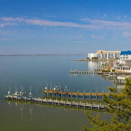 Bay Club Resort By Kees Vacations-3