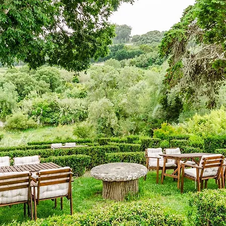 Sarrazola Garden-3