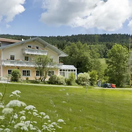 Landgasthof Hotel Zum Hirschenstein, Pension Garni-3