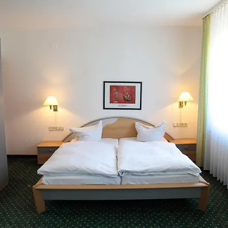 Hotel Hirsch-3