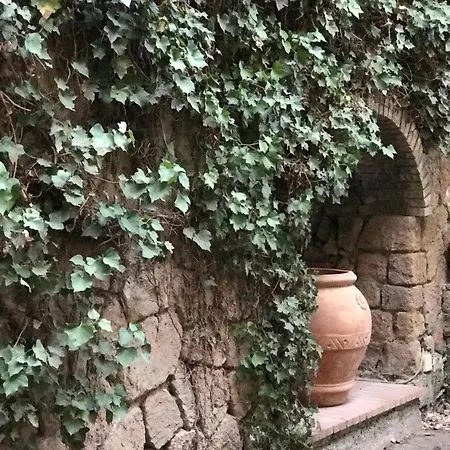 Princess B&B Frascati-2