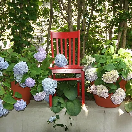 Hydrangea House Inn-3