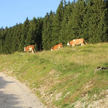 Landhaus am Waldrand-3