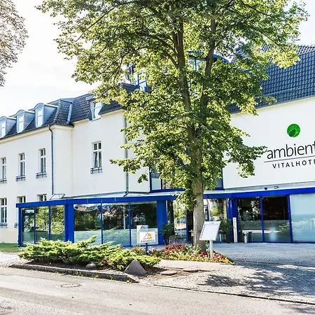 Ringhotel VITALHOTEL ambiente-2