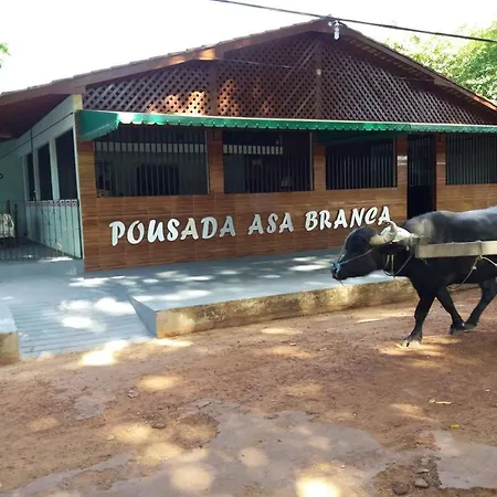 Pousada Asa Branca-2