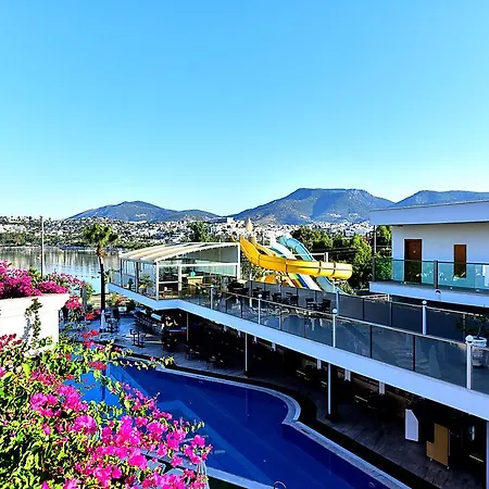 Tropicana Beach-2