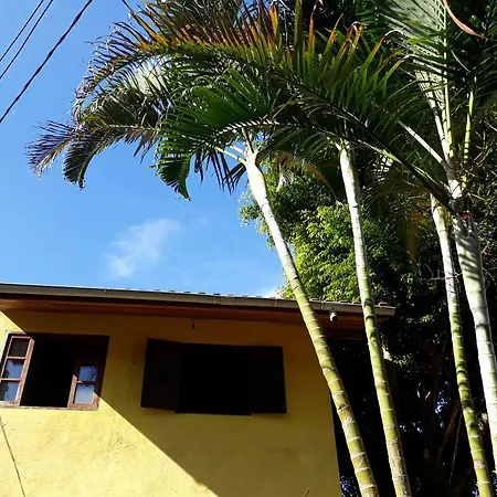 Jambeiro na praia-2