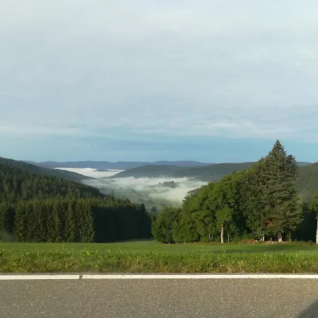 Pension Forsthaus Taele - Das Gaestehaus Vom Schwarzwaldgasthaus Salenhof-2