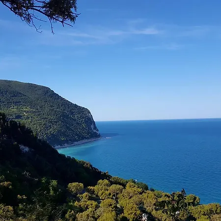 Amare Sirolo-2